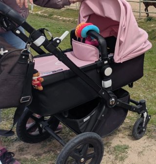Carrito Bugaboo Camaleón 3