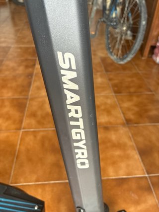 Patinete Eléctrico Smartgyro Rockway