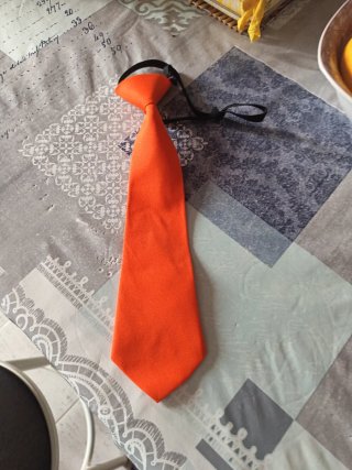 Se utilizo para disfraz Corbata infantil naranja