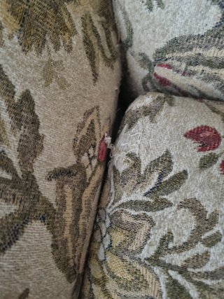 Sillón Vintage Estampado
