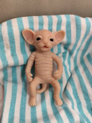 Gatito reborn silicona sphynx