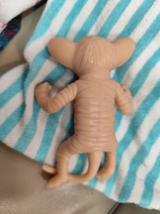 Gatito reborn silicona sphynx