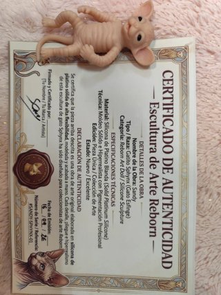 Gatito reborn silicona sphynx