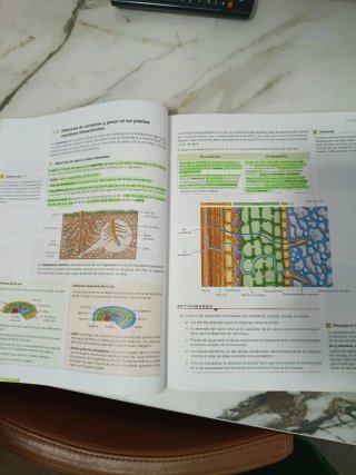 Biología, Geología y Ciencias Ambientales 1o Ba...