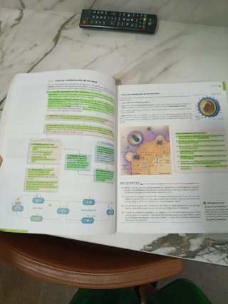 Biología, Geología y Ciencias Ambientales 1o Ba...