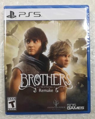 Brothers Remake PS5
