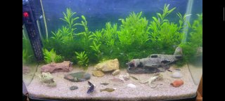 Acuario Panorámico con Iluminación LED