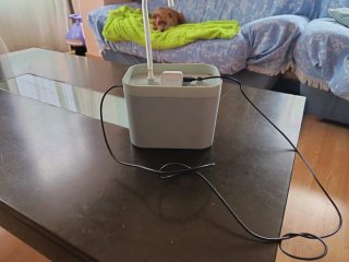 Bebedero automático para gatos