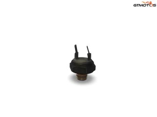 Sensor Temperatura Piaggio Hexagon 250 Gtx