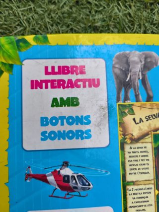 Curiositats del món amb botons sonors
