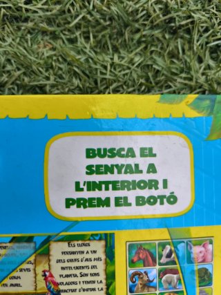 Curiositats del món amb botons sonors