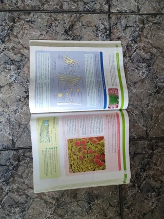 BIOLOGIA 1 BTX CONSTRUINT MONS