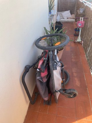 Carro Doble para Bicicleta o Paseo