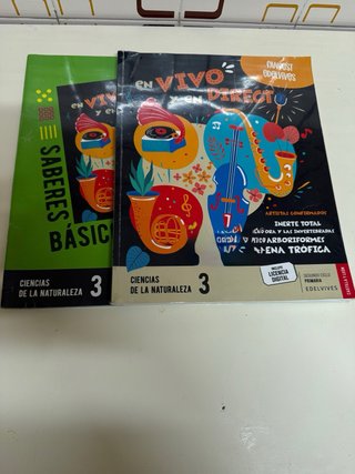 Libros de texto de 3 Primaria