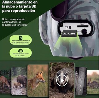 Cámara caza 4G Fototrampeo