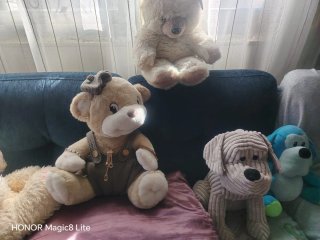Lote de peluches infantiles