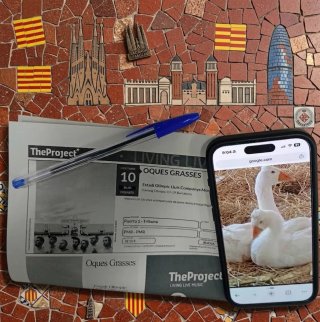 Oques grasses última