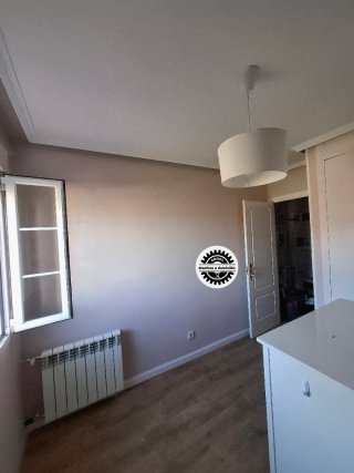 Pintor Profesional