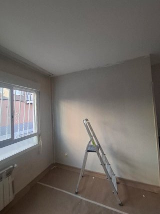 Pintor Profesional