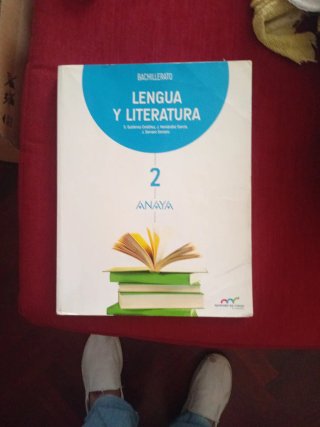 Lengua y literatura, Bachillerato 2