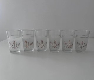 Jarra e Copos de Vidro