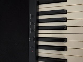 Teclado Eléctrico Korg con Soporte