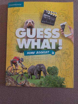 Guess What! 6 Activity book with online resources