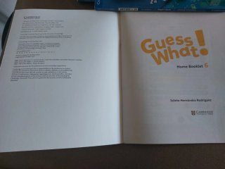 Guess What! 6 Activity book with online resources