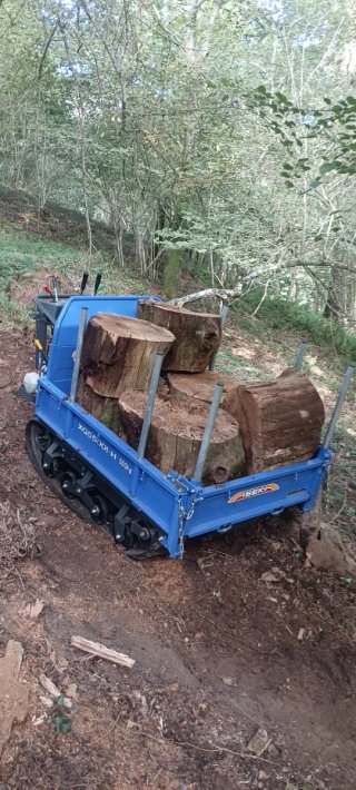 Carretilla de orugas Iseki XG550DI-H