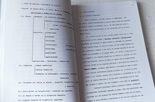 Lexicología y semántica del español para el Bac...