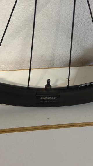 Rueda Giant SLR 1 36