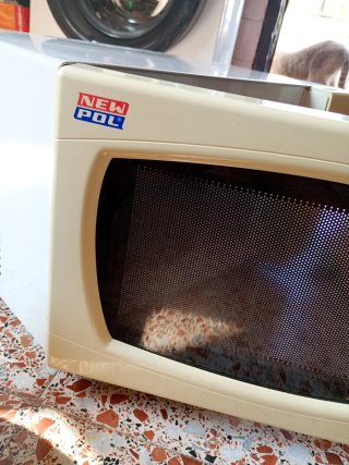 Microondas New Pol