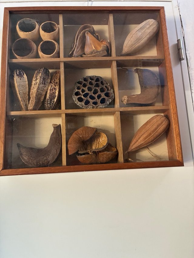 Cuadro Decorativo con Compartimentos