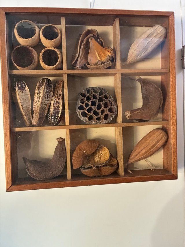 Cuadro Decorativo con Compartimentos