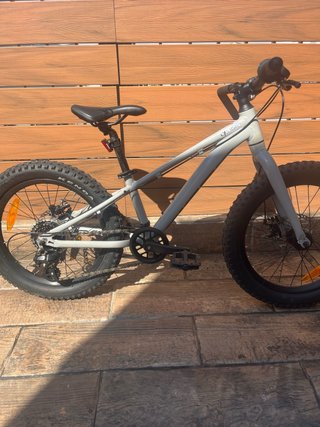 Bicicleta Giant STP 20 Gris