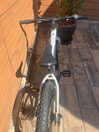 Bicicleta Giant STP 20 Gris