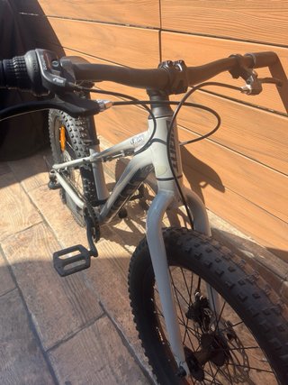 Bicicleta Giant STP 20 Gris
