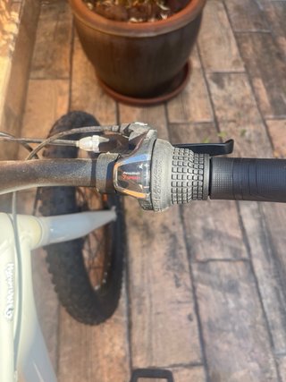Bicicleta Giant STP 20 Gris