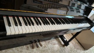 Piano Acústico