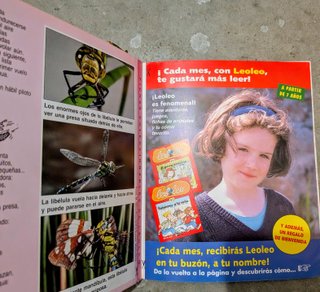Libro el príncipe ladrón vintage años 90-2000 leo