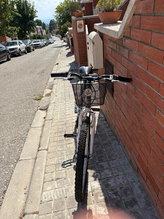 Bicicleta infantil