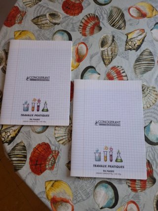 Cahier travaux pratiques para liceo frances