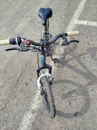 Bicicleta Freerider