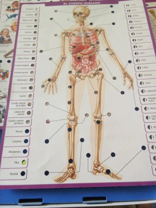 Juego Educativo Conector Enciclopedia
