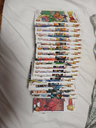 Manga dragon ball