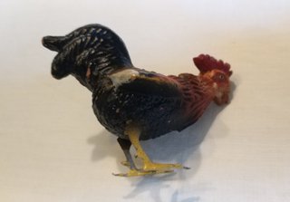 Gallo de Belén Antiguo