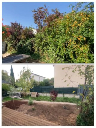 Servicio de Jardinería y Mantenimiento