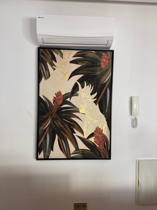Cuadro de Diseño con Loros