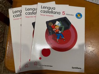LENGUA CASTELLANA 5 PRIMARIA M. LIGERA LA CASA ...
