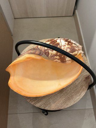 Lámpara Caracola Vidrio y Madera